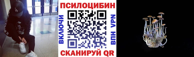 Купить закладки Бузулук Псилоцибиновые грибы Magic Shrooms